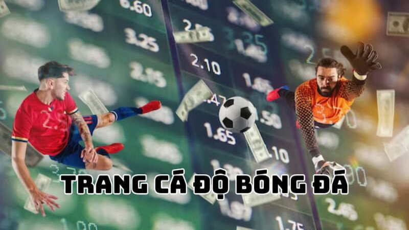 Tổng quan về trang cá cược bóng đá là gì?